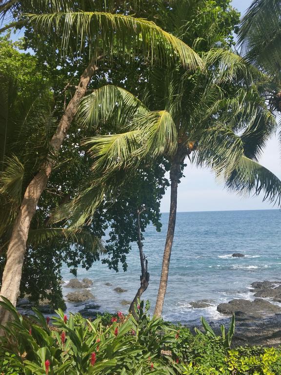 Hotel Cabinas Mar Y Cielo Montezuma Eksteriør bilde